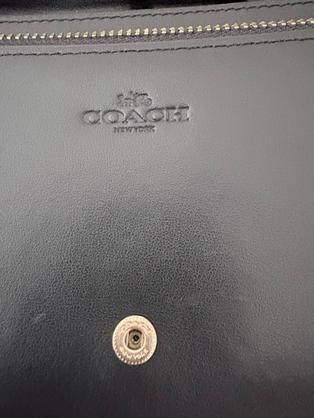 Coach Hayden Foldover Lizard Embossed
Crossbody Clutch - Picture 12 of 16